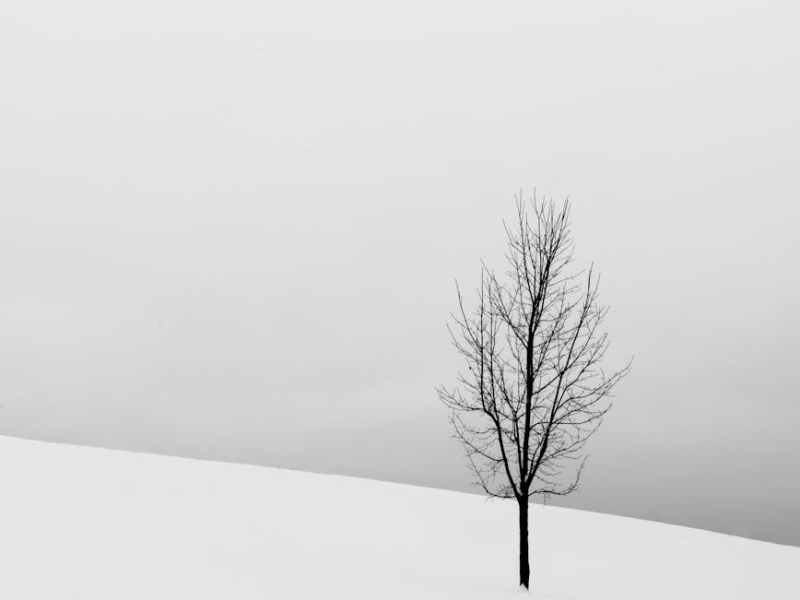 The Long Winter of&nbsp;Jehoiachin