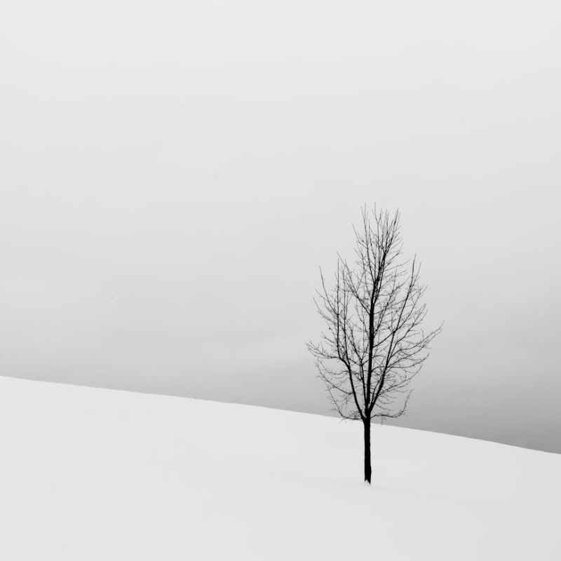 The Long Winter of&nbsp;Jehoiachin